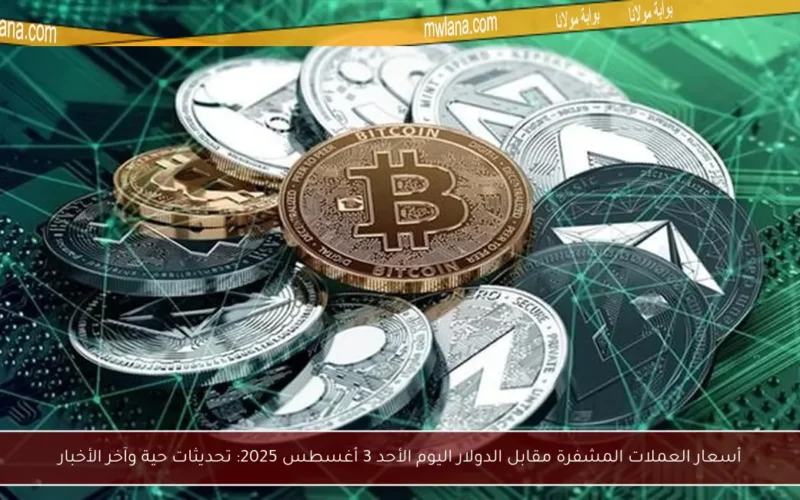 أسعار العملات المشفرة مقابل الدولار اليوم الأحد 3 أغسطس 2025: تحديثات حية وآخر الأخبار