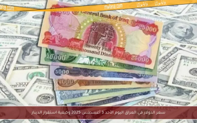سعر الدولار في العراق اليوم الأحد 3 أغسطس 2025 وكيفية استقرار الدينار