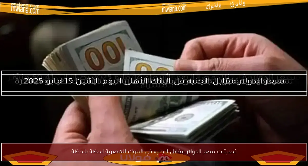 تحديثات سعر الدولار مقابل الجنيه في البنوك المصرية لحظة بلحظة