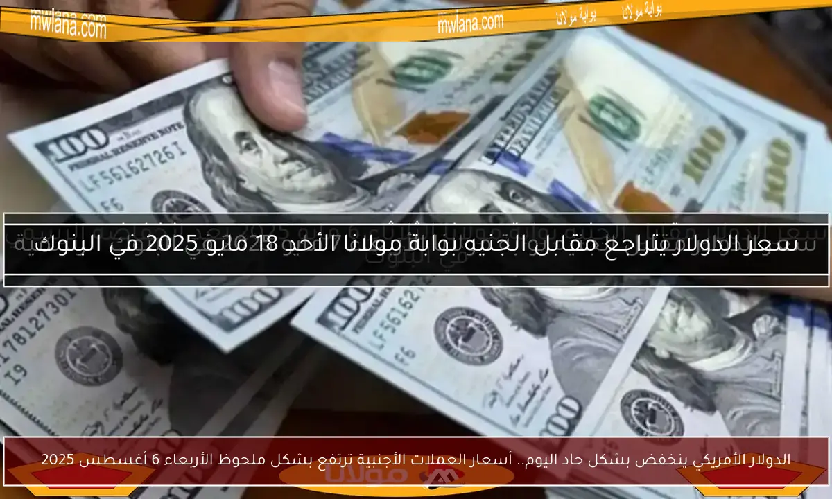 الدولار الأمريكي ينخفض بشكل حاد اليوم.. أسعار العملات الأجنبية ترتفع بشكل ملحوظ الأربعاء 6 أغسطس 2025