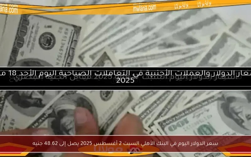 سعر الدولار اليوم في البنك الأهلي السبت 2 أغسطس 2025 يصل إلى 48.62 جنيه