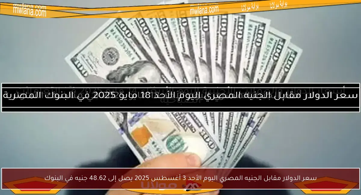 سعر الدولار مقابل الجنيه المصري اليوم الأحد 3 أغسطس 2025 يصل إلى 48.62 جنيه في البنوك