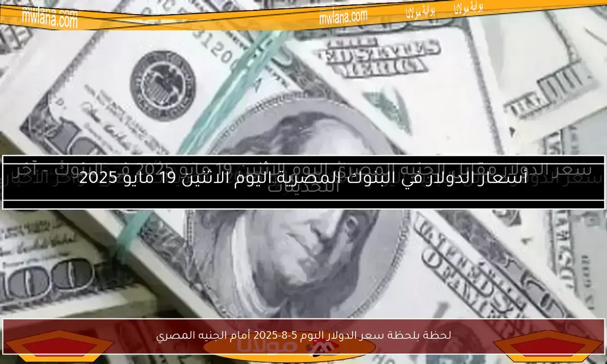 لحظة بلحظة سعر الدولار اليوم 5-8-2025 أمام الجنيه المصري