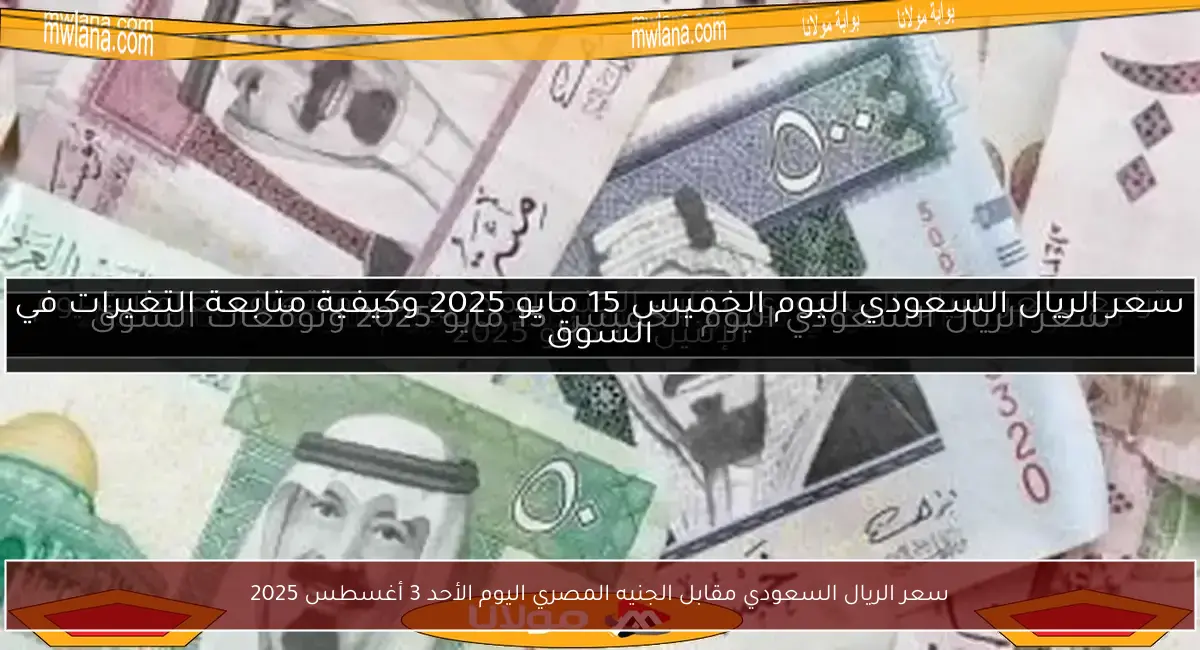 سعر الريال السعودي مقابل الجنيه المصري اليوم الأحد 3 أغسطس 2025