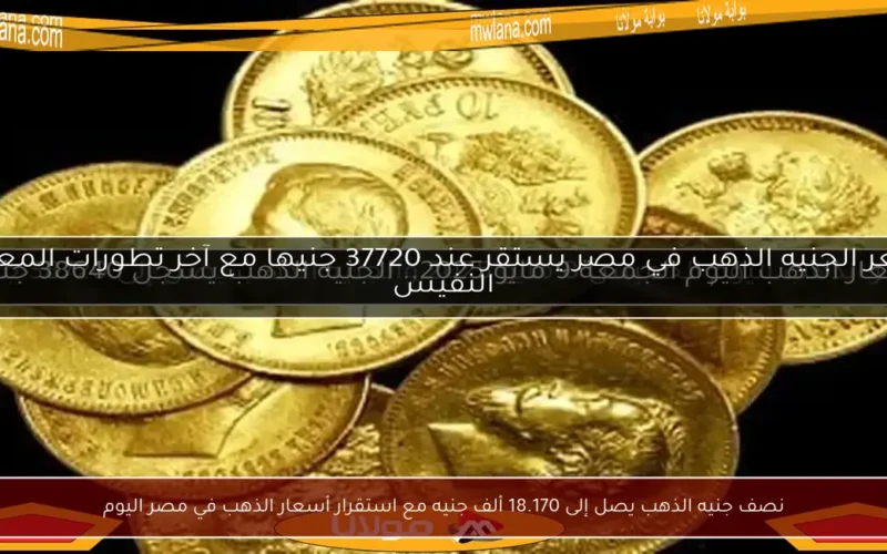 نصف جنيه الذهب يصل إلى 18.170 ألف جنيه مع استقرار أسعار الذهب في مصر اليوم