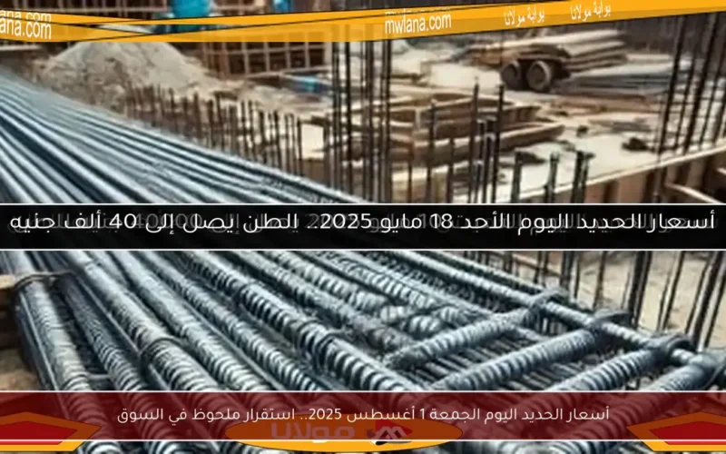 أسعار الحديد اليوم الجمعة 1 أغسطس 2025.. استقرار ملحوظ في السوق