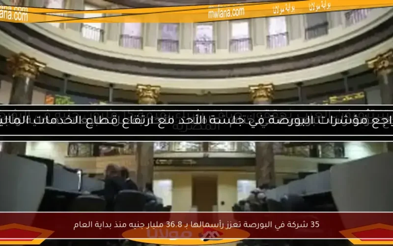 35 شركة في البورصة تعزز رأسمالها بـ 36.8 مليار جنيه منذ بداية العام