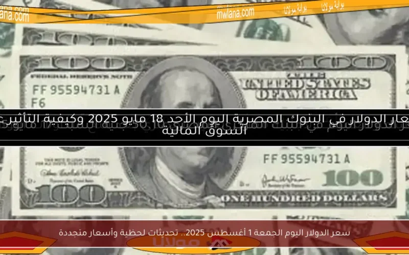 سعر الدولار اليوم الجمعة 1 أغسطس 2025.. تحديثات لحظية وأسعار متجددة