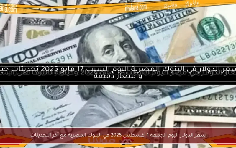 سعر الدولار اليوم الجمعة 1 أغسطس 2025 في البنوك المصرية مع آخر التحديثات