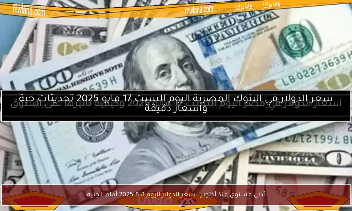 أدنى مستوى منذ أكتوبر.. سعر الدولار اليوم 8-8-2025 أمام الجنيه