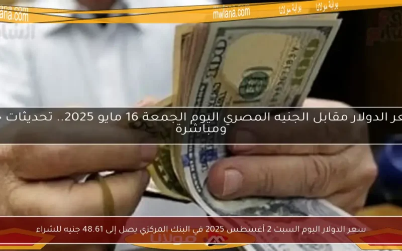 سعر الدولار اليوم السبت 2 أغسطس 2025 في البنك المركزي يصل إلى 48.61 جنيه للشراء