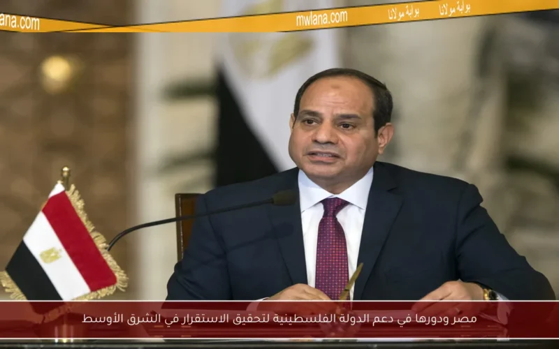 مصر ودورها في دعم الدولة الفلسطينية لتحقيق الاستقرار في الشرق الأوسط