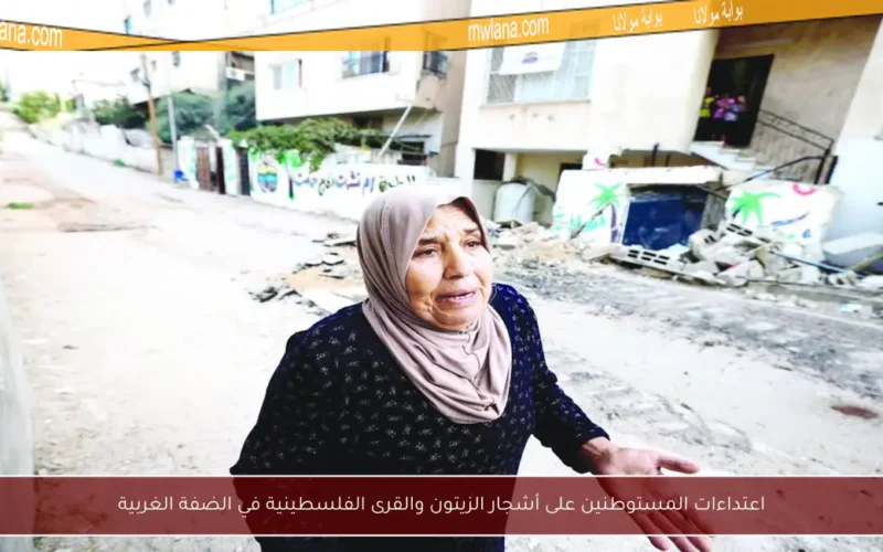 اعتداءات المستوطنين على أشجار الزيتون والقرى الفلسطينية في الضفة الغربية