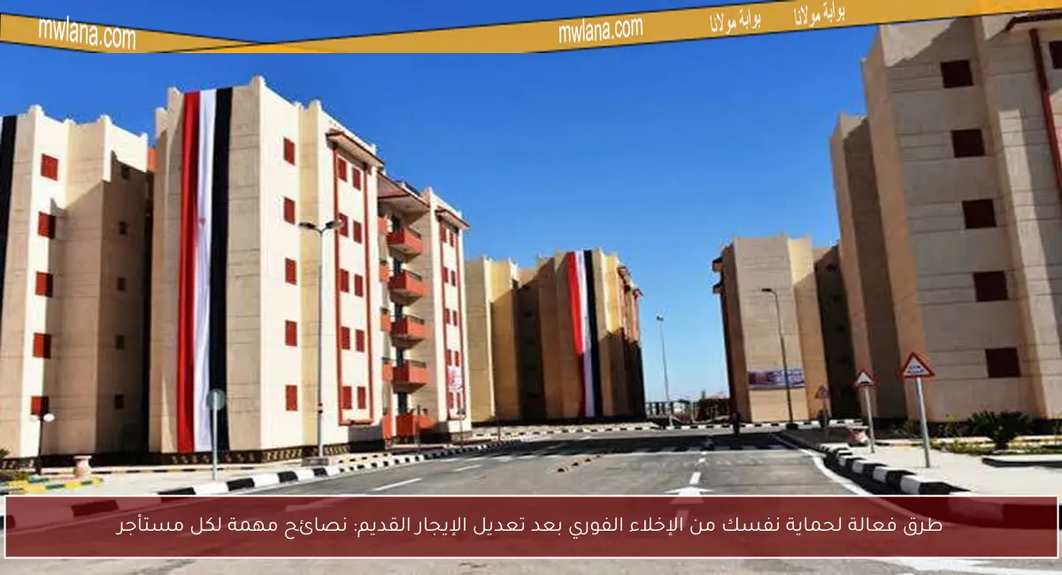 طرق فعالة لحماية نفسك من الإخلاء الفوري بعد تعديل الإيجار القديم: نصائح مهمة لكل مستأجر