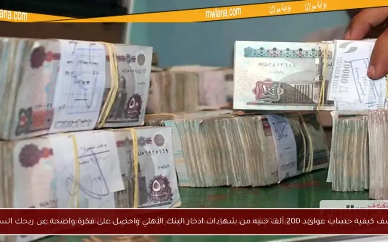 اكتشف كيفية حساب عوائد 200 ألف جنيه من شهادات ادخار البنك الأهلي واحصل على فكرة واضحة عن ربحك السنوي