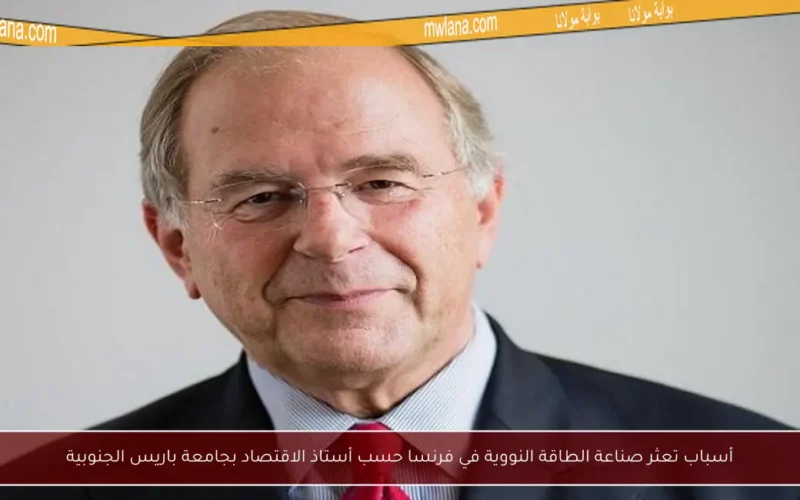 أسباب تعثر صناعة الطاقة النووية في فرنسا حسب أستاذ الاقتصاد بجامعة باريس الجنوبية