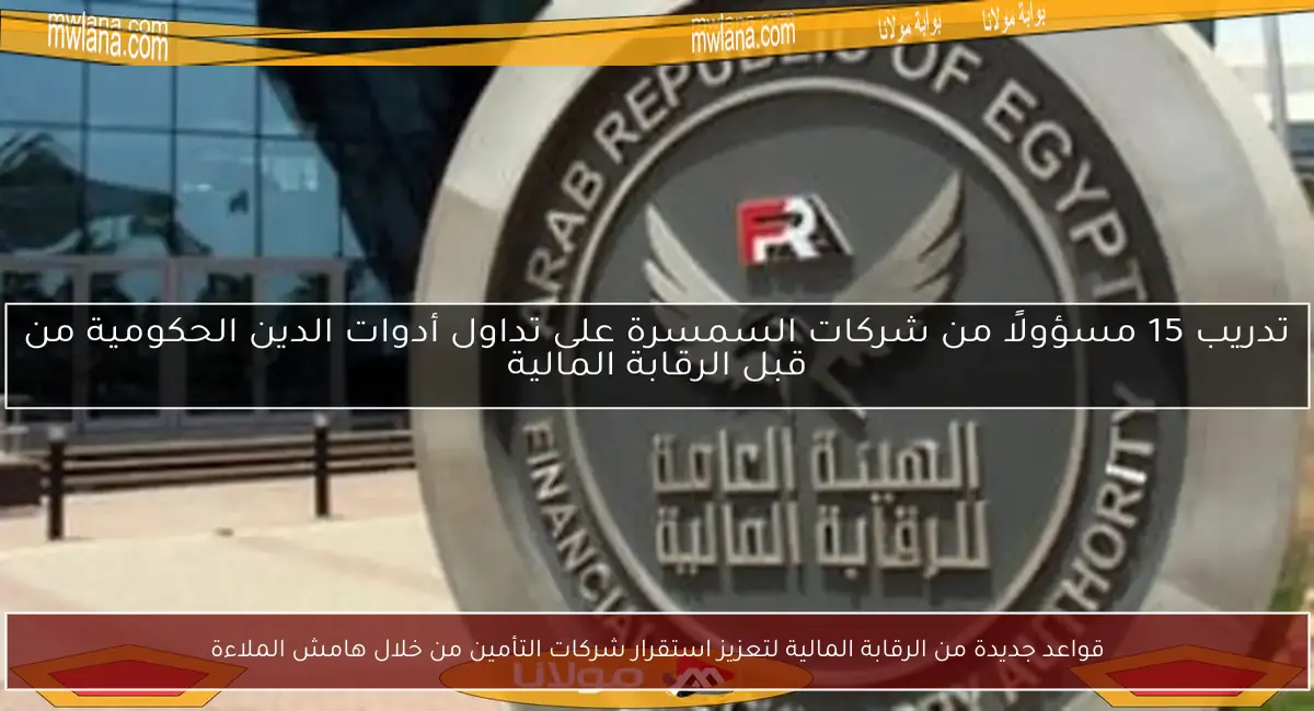 قواعد جديدة من الرقابة المالية لتعزيز استقرار شركات التأمين من خلال هامش الملاءة