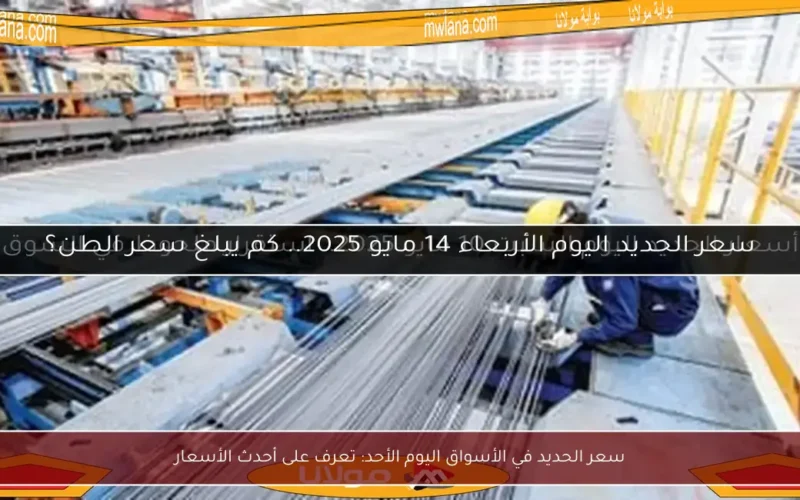 سعر الحديد في الأسواق اليوم الأحد: تعرف على أحدث الأسعار