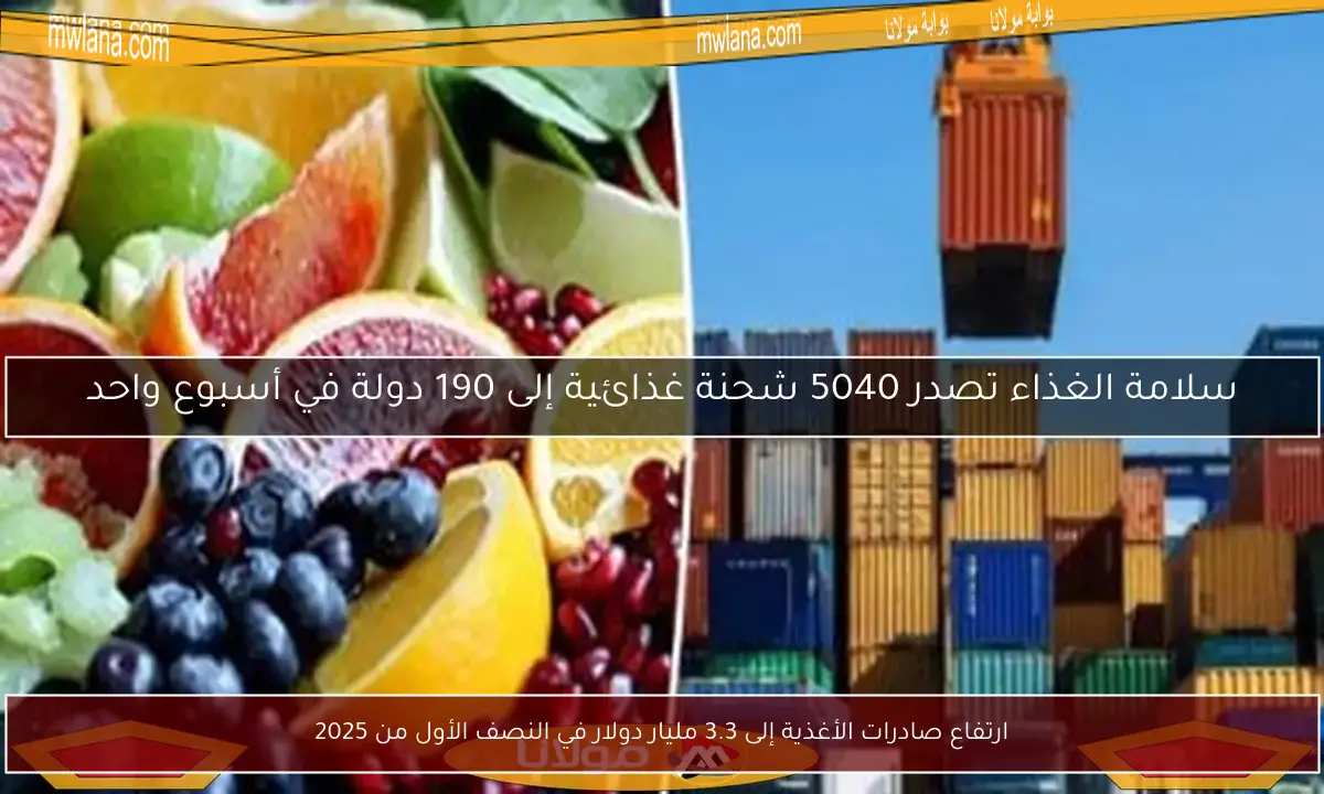 ارتفاع صادرات الأغذية إلى 3.3 مليار دولار في النصف الأول من 2025