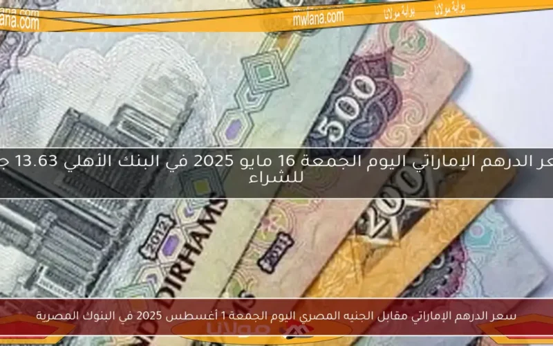 سعر الدرهم الإماراتي مقابل الجنيه المصري اليوم الجمعة 1 أغسطس 2025 في البنوك المصرية
