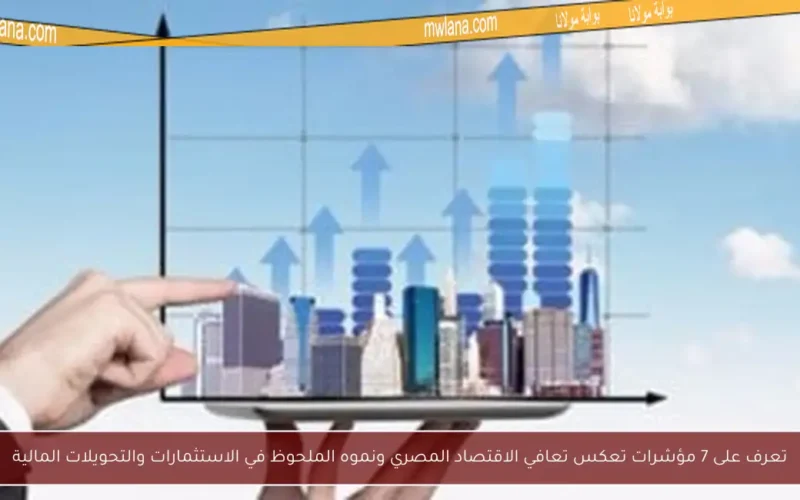 تعرف على 7 مؤشرات تعكس تعافي الاقتصاد المصري ونموه الملحوظ في الاستثمارات والتحويلات المالية