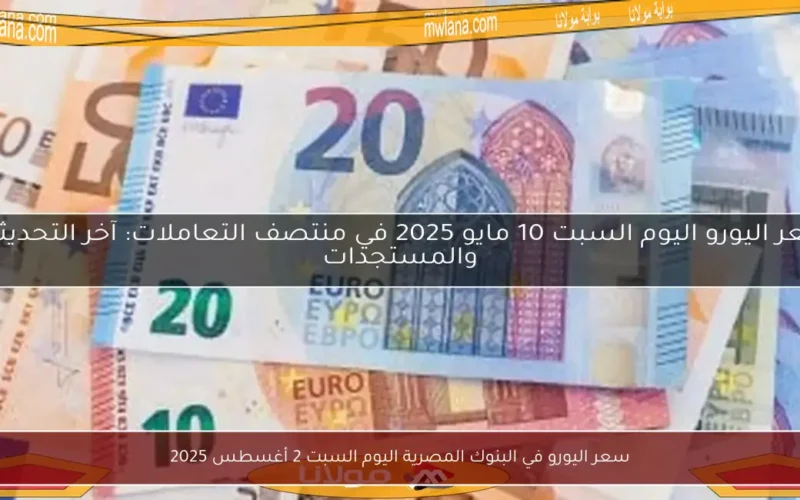 سعر اليورو في البنوك المصرية اليوم السبت 2 أغسطس 2025