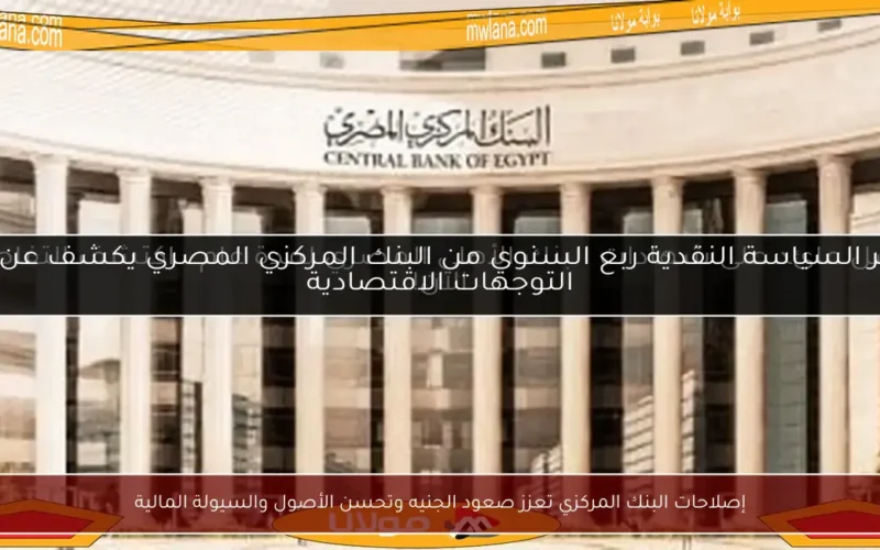 إصلاحات البنك المركزي تعزز صعود الجنيه وتحسن الأصول والسيولة المالية