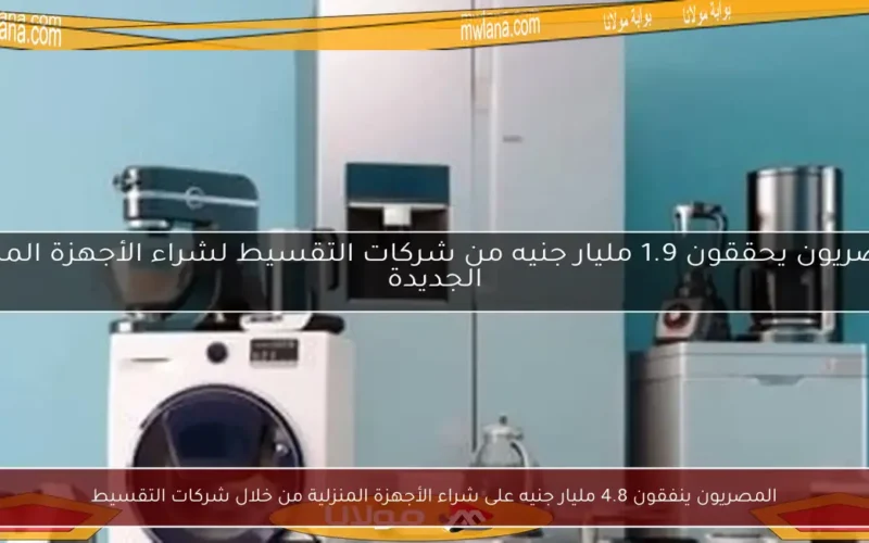 المصريون ينفقون 4.8 مليار جنيه على شراء الأجهزة المنزلية من خلال شركات التقسيط