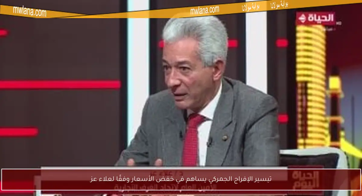 تيسير الإفراج الجمركي يساهم في خفض الأسعار وفقًا لعلاء عز