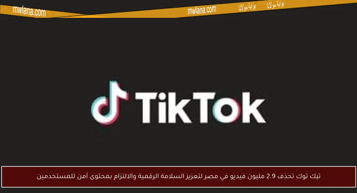 تيك توك تحذف 2.9 مليون فيديو في مصر لتعزيز السلامة الرقمية والالتزام بمحتوى آمن للمستخدمين