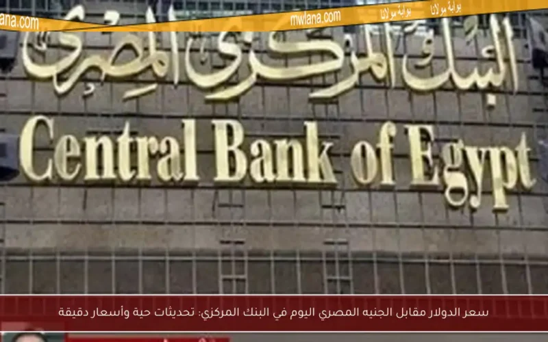 سعر الدولار مقابل الجنيه المصري اليوم في البنك المركزي: تحديثات حية وأسعار دقيقة
