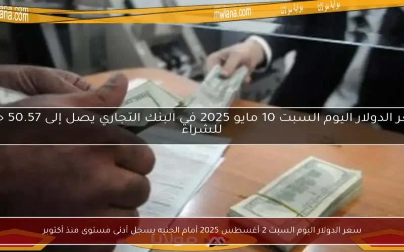 سعر الدولار اليوم السبت 2 أغسطس 2025 أمام الجنيه يسجل أدنى مستوى منذ أكتوبر