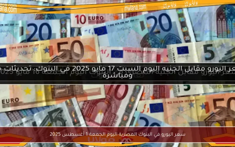 سعر اليورو في البنوك المصرية اليوم الجمعة 1 أغسطس 2025