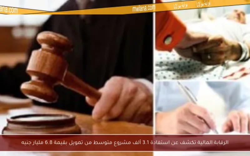 الرقابة المالية تكشف عن استفادة 3.1 ألف مشروع متوسط من تمويل بقيمة 6.8 مليار جنيه