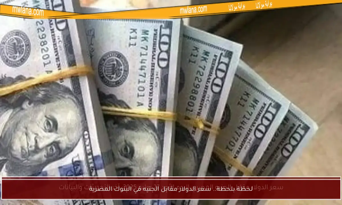لحظة بلحظة.. سعر الدولار مقابل الجنيه في البنوك المصرية