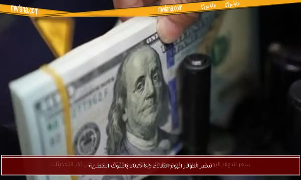 سعر الدولار اليوم الثلاثاء 5-8-2025 بالبنوك المصرية