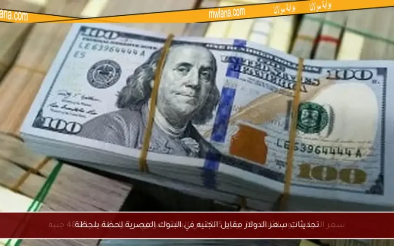 تحديثات سعر الدولار مقابل الجنيه في البنوك المصرية لحظة بلحظة