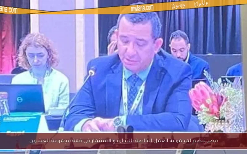 مصر تنضم لمجموعة العمل الخاصة بالتجارة والاستثمار في قمة مجموعة العشرين