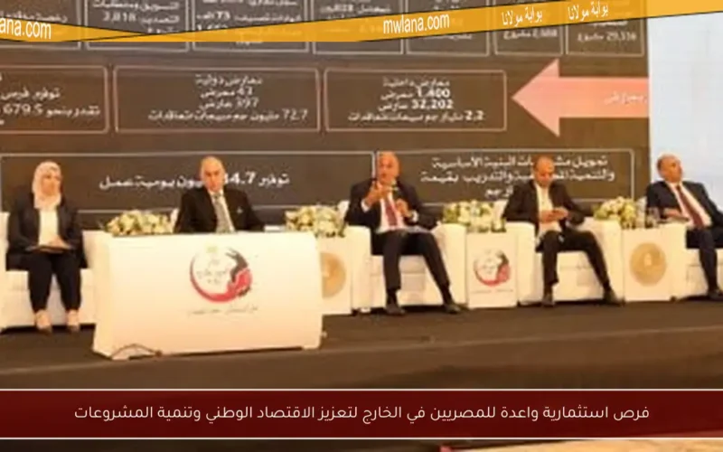 فرص استثمارية واعدة للمصريين في الخارج لتعزيز الاقتصاد الوطني وتنمية المشروعات