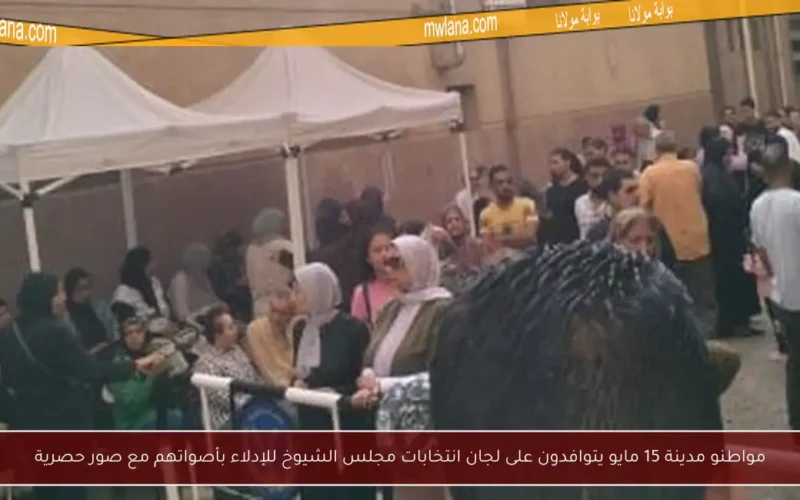 مواطنو مدينة 15 مايو يتوافدون على لجان انتخابات مجلس الشيوخ للإدلاء بأصواتهم مع صور حصرية