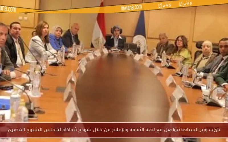 نائب وزير السياحة تتواصل مع لجنة الثقافة والإعلام من خلال نموذج مُحاكاة لمجلس الشيوخ المصري