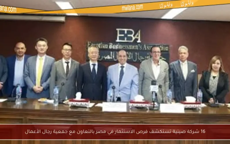16 شركة صينية تستكشف فرص الاستثمار في مصر بالتعاون مع جمعية رجال الأعمال