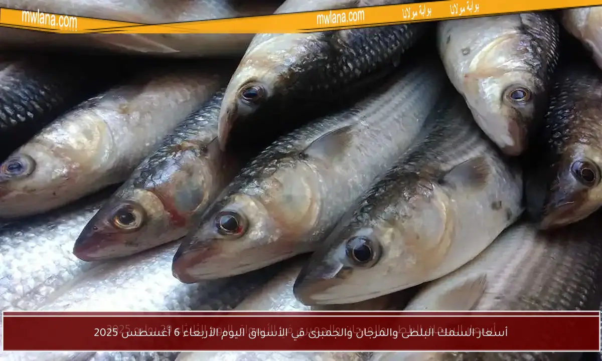 أسعار السمك البلطى والمرجان والجمبرى في الأسواق اليوم الأربعاء 6 أغسطس 2025