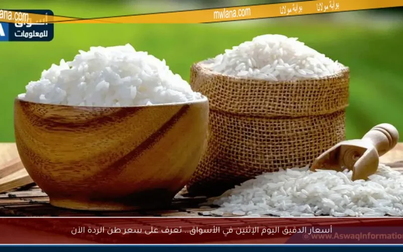 أسعار الدقيق اليوم الإثنين في الأسواق.. تعرف على سعر طن الردة الآن