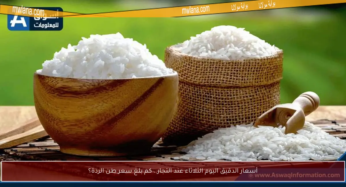 أسعار الدقيق اليوم الثلاثاء عند التجار.. كم بلغ سعر طن الردة؟