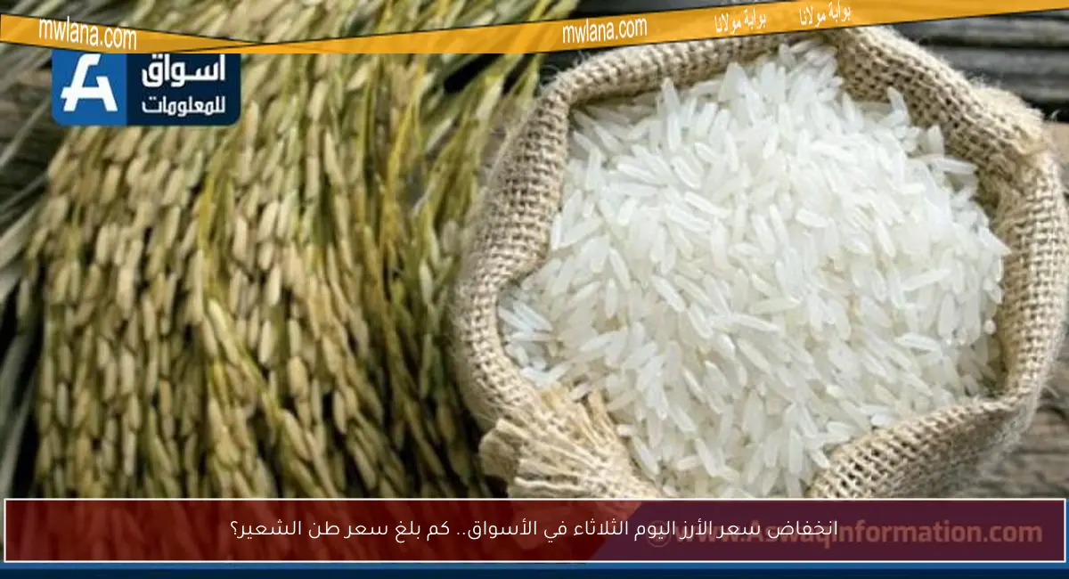 انخفاض سعر الأرز اليوم الثلاثاء في الأسواق.. كم بلغ سعر طن الشعير؟
