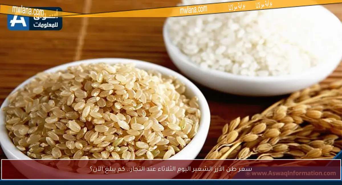 سعر طن الأرز الشعير اليوم الثلاثاء عند التجار.. كم يبلغ الآن؟