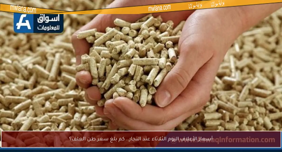 أسعار الأعلاف اليوم الثلاثاء عند التجار.. كم بلغ سعر طن العلف؟
