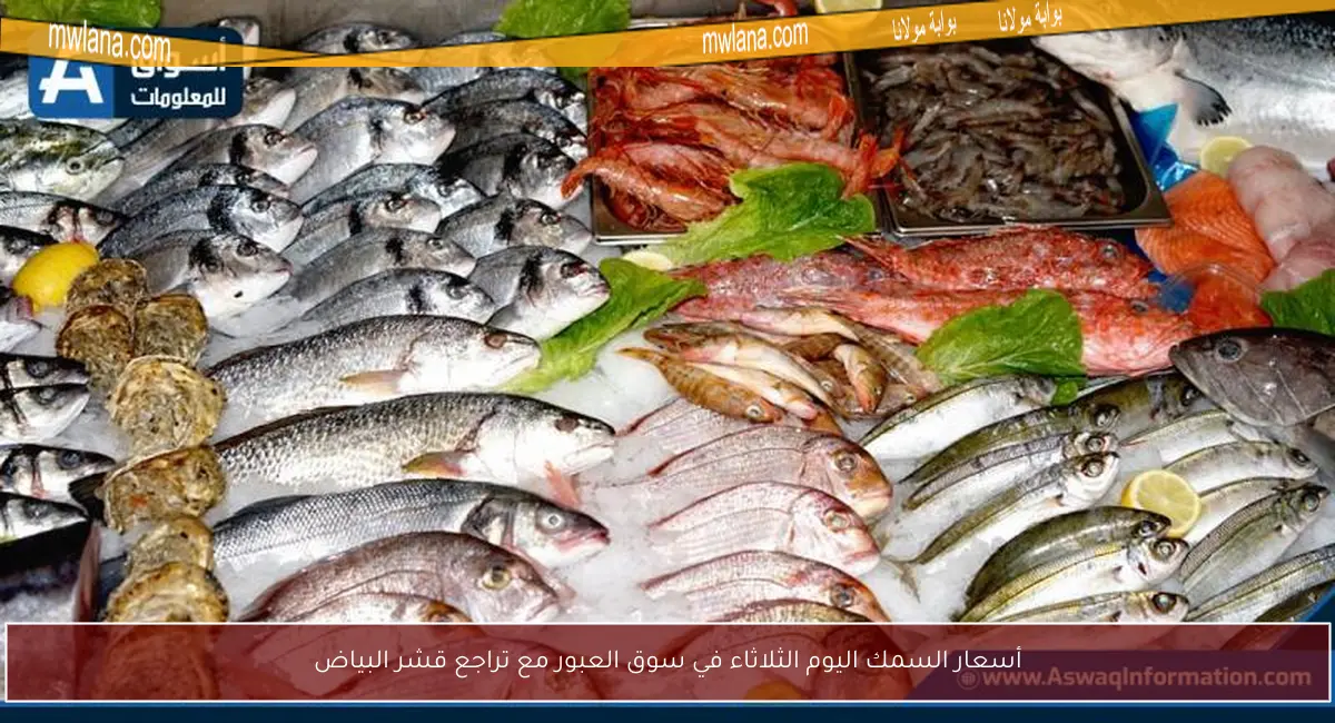 أسعار السمك اليوم الثلاثاء في سوق العبور مع تراجع قشر البياض