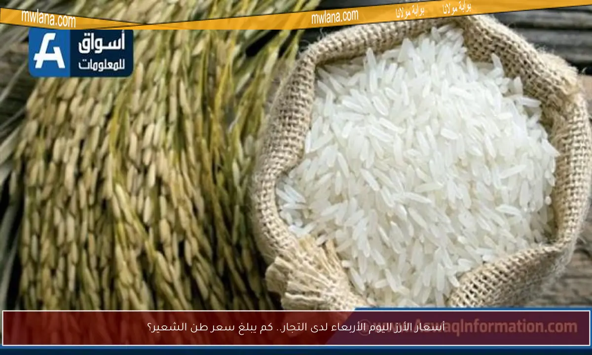 أسعار الأرز اليوم الأربعاء لدى التجار.. كم يبلغ سعر طن الشعير؟
